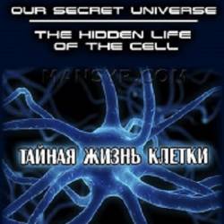  .    / Secret Universe: The Hidden Life of the Cell (  / Michael Davis) 2012