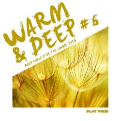 Warm and Deep #6 Deep House for the Sunny Days (2014)