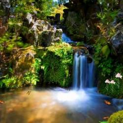 Colorful waterfall -  