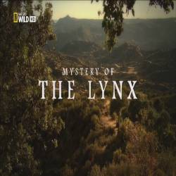    / Mystery of the Lynx (2012) HDTV 1080i