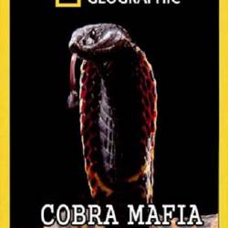   / Cobra Mafia (2014) IPTVRip