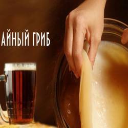 Чайный гриб - Как ухаживать? (2015)
