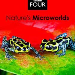 Нетронутые уголки дикой природы / Natures Microworlds (2012-2014) SATRip (сезон 1-3 из 3, серии 1-16 из 16)