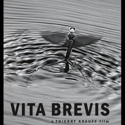    /   / Hannah et le fleuve / Vita Brevis (2015) HDTV 1080i