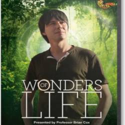 BBC:   / BBC: Wonders of Life [1-5  5] (2013) HDRip