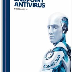 ESET Endpoint Antivirus 6.5.2094.1