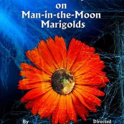  -  -  / The Effect of Gamma Rays on Man-in-the-Moon Marigolds (1972) HDTVRip