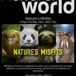 BBC:  .   / Natural World. Natures Misfits (2014) HDTVRip-AVC