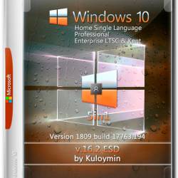 Windows 10 x64 1809.17763.194 5in1 v.16.2 ESD by Kuloymin (RUS/2018)