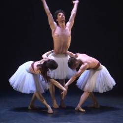    -    /Julio Arozarena - Ceci est une Rose - Compagnie Julio Arozarena - Theatre de Cusset/ (    - 2018) HDTVRip