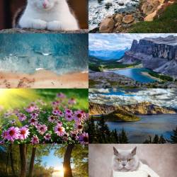 Wallpapers Mix 793