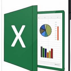 Excel    (2021) 