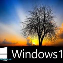 Windows 10 21H2 Build 19043.1165 x64 (11.08.2021) by ArtZak1