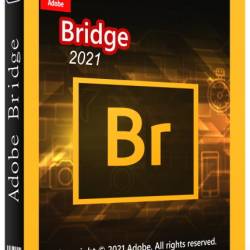 Adobe Bridge 2022 v12.0.0.234