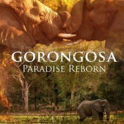     / Gorongosa: Paradise Reborn (2022) WEBRip 720p