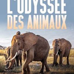   / Lodyssee des animaux / Animal Odyssey (2022) HDTVRip 720p