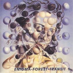 Enigma-Forest-Transit 1 (1998) OGG - Electronic, New Age, Ambient
