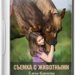    () -         .      ,    .