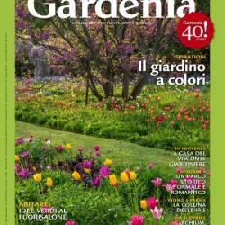 Gardenia (Aprile 2024)