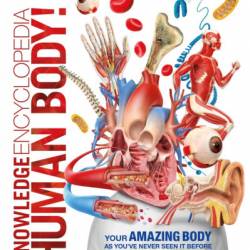 Human Body! - DK
