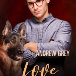 Love at First Swipe - Andrew Grey