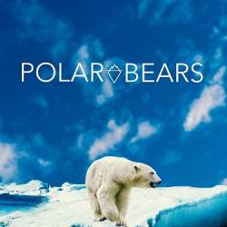   / Polar Bear (2020) WEBRip 720p