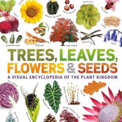 Trees, Leaves, Flowers and Seeds: A Visual Encyclopedia of the Plant Kingdom - DK