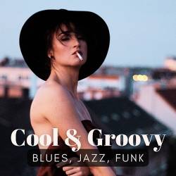 Cool and Groovy (Blues, Jazz, Funk) (2024) FLAC - Blues