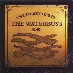 The Waterboys - The Secret Life of The Waterboys '81-'85 (1994) [FLAC]