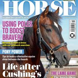 Your Horse - October 2024