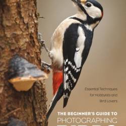 The Beginner's Guide to Photographing Birds: Essential Techniques for Hobbyists and Bird Lovers - Rosl R&#246;ssner