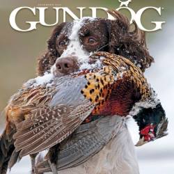 Gun Dog - November