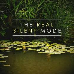 The Real Silent Mode (2024) FLAC - Lounge, Chillout, Downtempo, Balearic