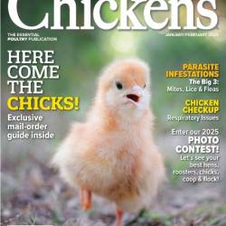 Chickens - January-February 2025