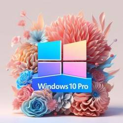 Windows 10 Pro 22H2 build 19045.5131 by neyroslixs (Ru/2024)