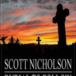 Revelation for the Rest of Us: A Prophetic Call to Follow Jesus as a Dissident Disciple - Scott Nicholson