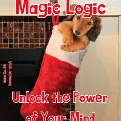 Magic Logic - December 2024