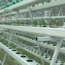 Hydroponic Masterclass