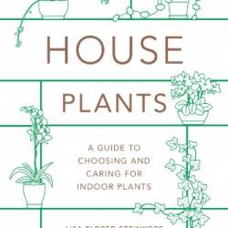 Houseplants - Steinkopf