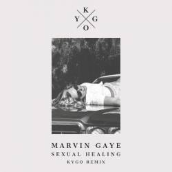 Marvin Gaye - Sexual Healing (Kygo Remix) (2015)