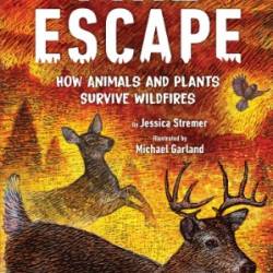 Fire Escape: How Animals and Plants Survive Wildfires - Michael Garland, Jessica Stremer