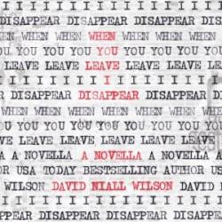 When You Leave I Disappear - David Niall Wilson