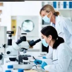 Mastering Good Clinical Practice A Comprehensive Training