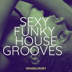 Sexy Funky House Grooves - Houseluxury (2025) Mp3 - Jackin, Funky, Soulful, Chicago House, Nu Disco, Deep Groove!