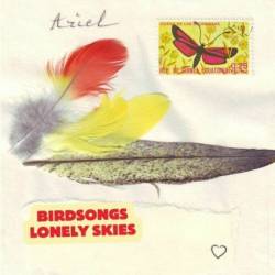 Ariel Kalma - Birdsongs Lonely Skies (2025)