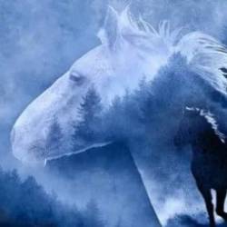 Photoshop Essentials For Photographers: Edit Like A Pro